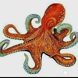 Аватарка канала OCTOPUS TOSS