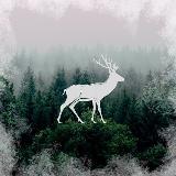 Аватарка канала Комитет охоты и рыболовства Самарской области