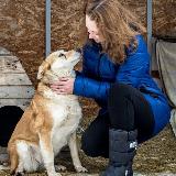 Аватар канала 1516779420