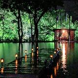 Аватарка канала Forest-park95