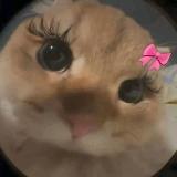 Аватарка канала Кружки для диалогов