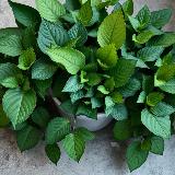 Аватар канала 1733225123