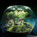 Аватарка канала Аквариумистика