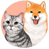 Аватарка канала Хвостики