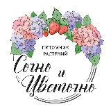 Аватар канала 1977419830