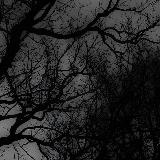 Аватарка канала "DA1ZEN SALE"