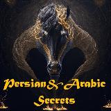 Аватарка канала Persian&Arabic Secrets