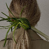 Аватарка канала Лук 🧅