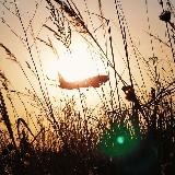 Аватарка канала Керосиновый Шлейф на Рассвете во Внуково