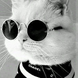 Аватарка канала Жизнь Жюли