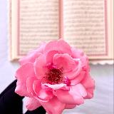 Аватар канала 2090222082