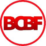 Аватарка канала Британский колледж