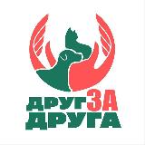 Аватарка канала Друг за друга: помощь животным в Орехово-Зуево
