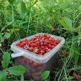 Аватар канала 1420308808