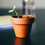 Аватарка канала "Orgânico • Hyeser 🪴"