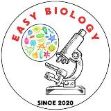 Аватарка канала E͟͟͟͞͞͞a͟͟͟͞͞͞s͟͟͟͞͞͞y͟͟͟͞͞͞ B͟͟͟͞͞͞i͟͟͟͞͞͞o͟͟͟͞͞͞l͟͟͟͞͞͞o͟͟͟͞͞͞g͟͟͟͞͞͞y͟͟͟͞͞͞ ️🩺️🫀