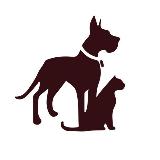 Аватарка канала "Открой своё сердце" и наши животные