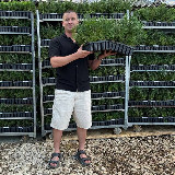 Аватарка канала Хвойная Россия 🧑‍🌾🌲