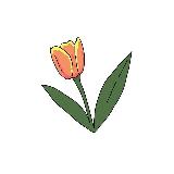 Аватарка канала Первый ближневосточный