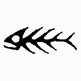 Аватарка канала Снасти Здрасьте!