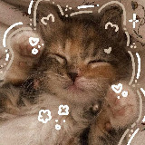 Аватарка канала ⋆｡‧˚ʚ 𝑒𝓈𝓉𝒽𝑒𝒹𝒾𝒶 ɞ˚‧｡⋆ | Premium emoji | Themes | Wallpapers | Премиум эмоджи / эмодзи | Стикеры | Темы | Обои