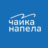 Аватарка канала Чайка напела | медиа о Владивостоке