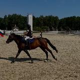 Аватарка канала Horse life💗🐎🌸