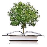 Аватар канала 1320410789