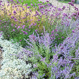 Аватарка канала Питомник Лавандовая ферма