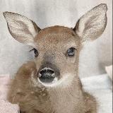 Аватар канала 2278653955