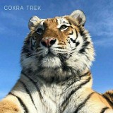 Аватарка канала "COXRA TREK 🇺🇸 (сохры музыка)"