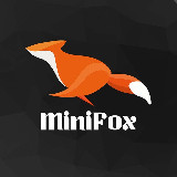Аватарка канала MiniFox VPN