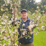 Аватарка канала Сад Дмитрия forumsad Дача, плодовые и декоративные растения