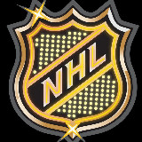 Аватарка канала NHL Rover News