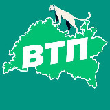 Аватарка канала ВТП | В Татарстане Поймут
