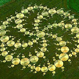 CROP CIRCLES avatar