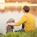 Аватарка канала Bern.Cowell: Мишка и животные