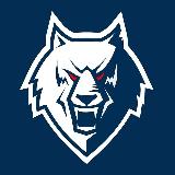 Аватарка канала Волчья стая. Канал ХК "Нефтехимик"