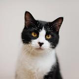 Аватарка канала ДОБРЫЙ ДОМ | ХАБАРОВСК