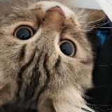 Аватарка канала 𝙰𝚎𝚜𝚝𝚑𝚎𝚝𝚒𝚌𝚜