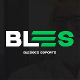 Аватарка канала BLES — Більше про ігри