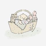 Аватарка канала BedForPet Prague