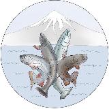 Аватарка канала Территория науки