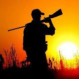 Аватарка канала Охота | По следам дикой природы