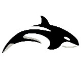 Аватарка канала Orca Robotics - Телеграм Боты