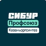 Аватарка канала Профсоюз Казаньоргсинтез