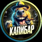 Аватарка канала КапиБар | Юмор