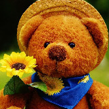 Аватар канала 1343156602