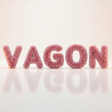 Аватарка канала VAGON Caдовод Кор. Б 2г - 51