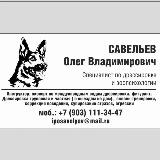 Аватарка канала ЗНАТОК СОБАК ОНЛАЙН